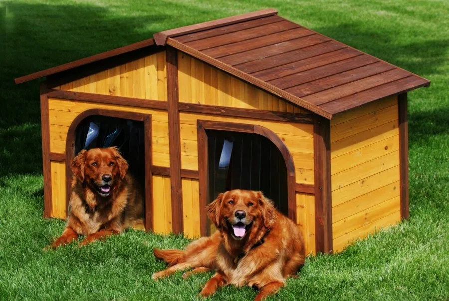 Будка для собаки своими руками: фото, чертежи и схемы, подробная инструкция - как сделать теплую конуру, чем утеплить и как построить крепкий дом на зиму