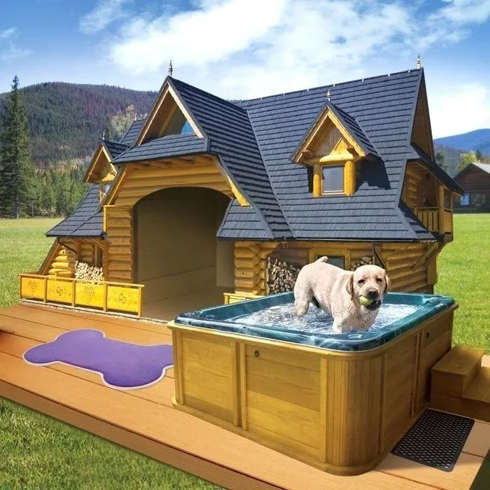Будка с бассейном для собаки