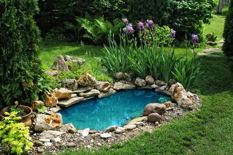 Пруд на даче - как сделать искусственный водоем своими руками? Лучшие идеи ландшафтного дизайна в саду загородного дома
