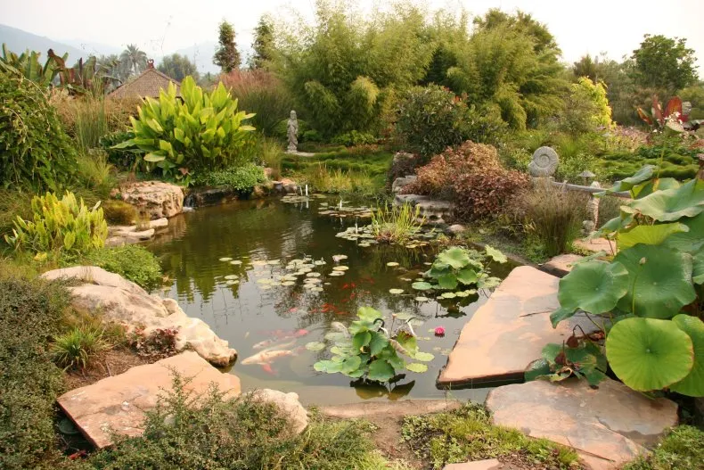 Пруд на даче - как сделать искусственный водоем своими руками? Лучшие идеи ландшафтного дизайна в саду загородного дома
