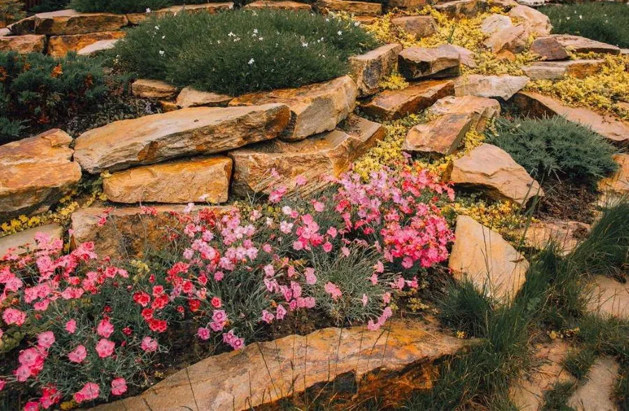 Плоские камни на альпийской горке в саду