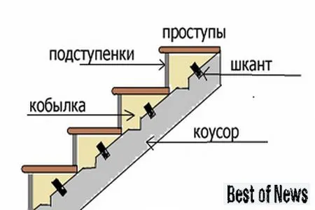 na-dannom-risunke-naglyadno-pokazano-kak-montiruyutsya-kobylki-na-lestnichnoj-konstruktsii