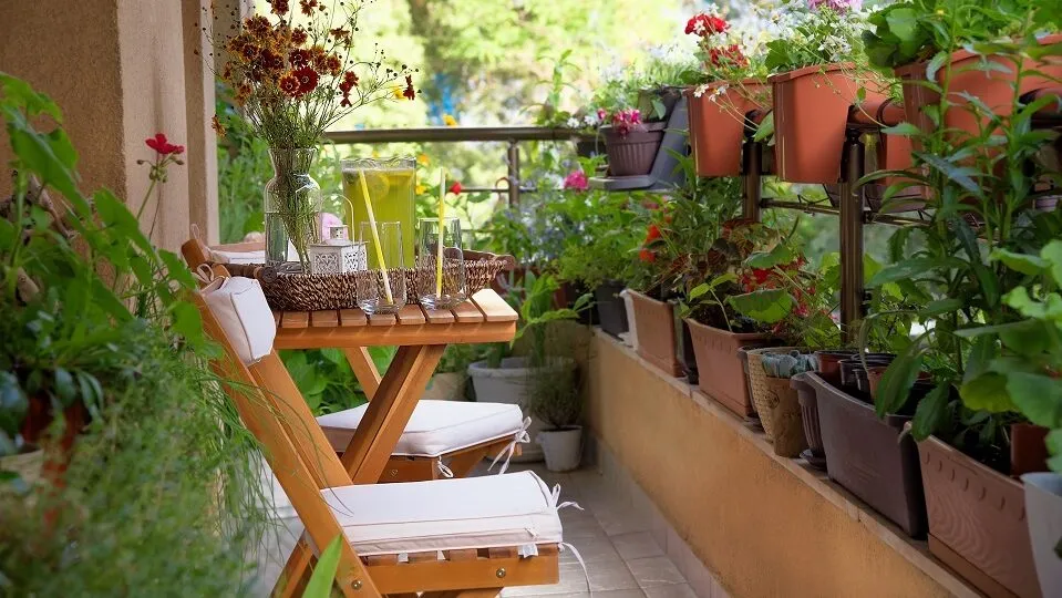 Можно отвести цветочному царству балкон и наслаждаться красивым видом ежедневно. Фото: shutterstock.com