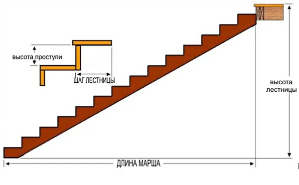 Комфортная высота ступени лестницы