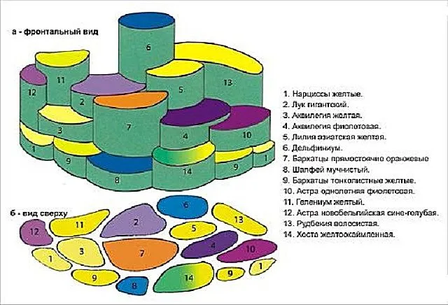 Распределение зон на клумбе по различным видам растений